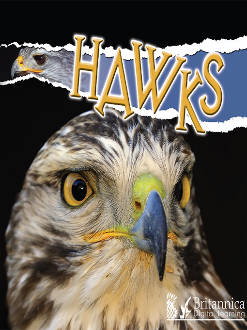 Title details for Hawks by Julie K. Lundgren - Wait list